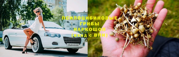 гидропоника Краснослободск