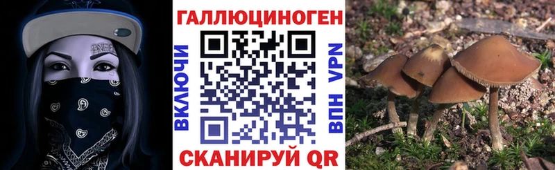 Псилоцибиновые грибы прущие грибы  Купить  Алзамай 